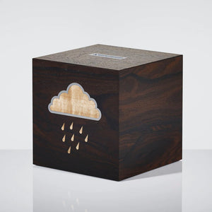 Rainy Day Money Box