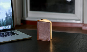 Mini Smart Book Light (Fibre Leather)